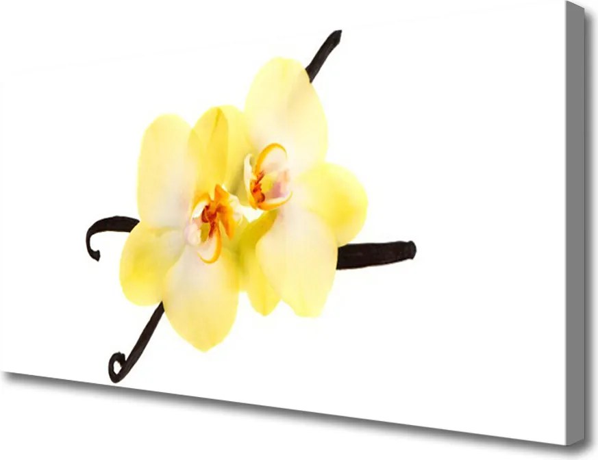 Obraz canvas Pełnia Barw Natury