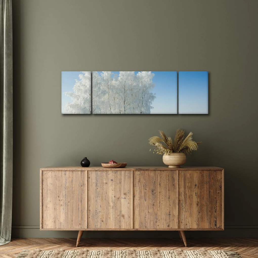 Obraz zaśnieżonego krajobrazu (170x50 cm)