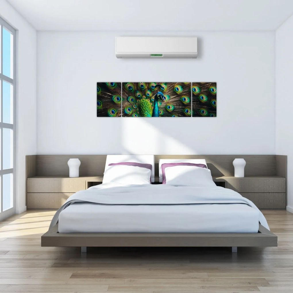 Obraz – Paw (170x50 cm)