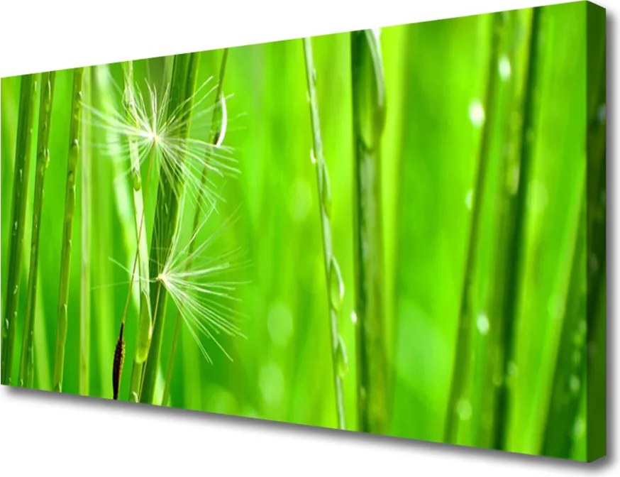 Obraz na płótnie Naturalna Tekstura Trawy