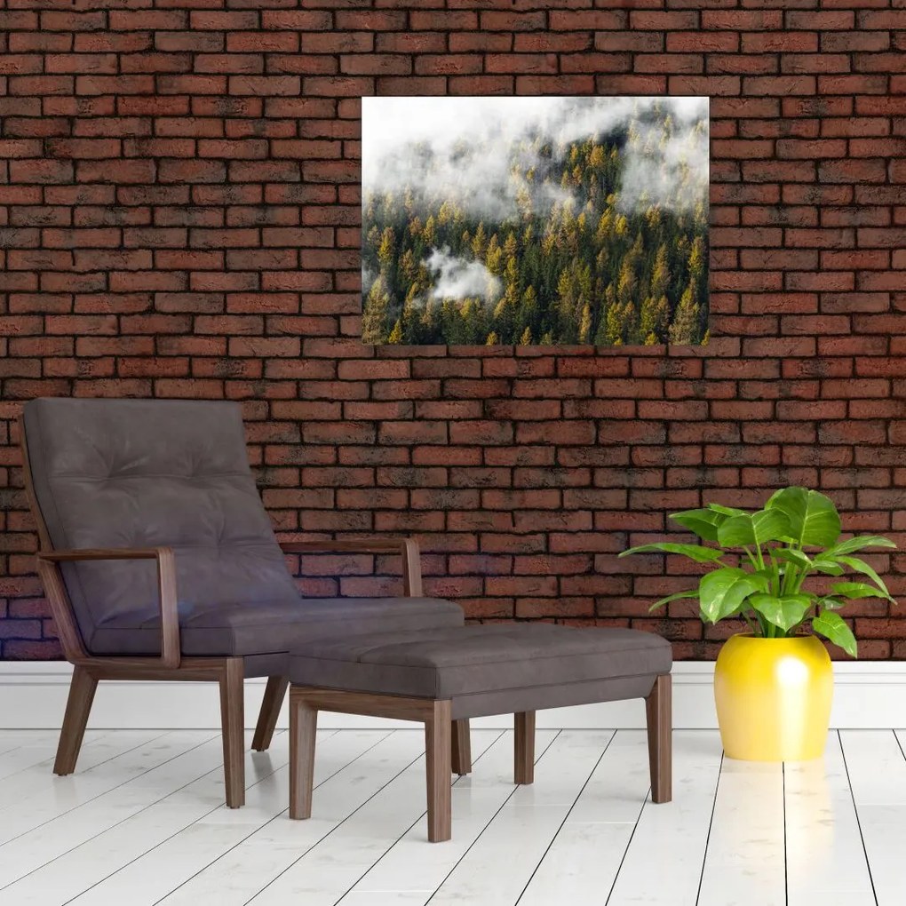Obraz na szkle lasu w chmurach (70x50 cm)