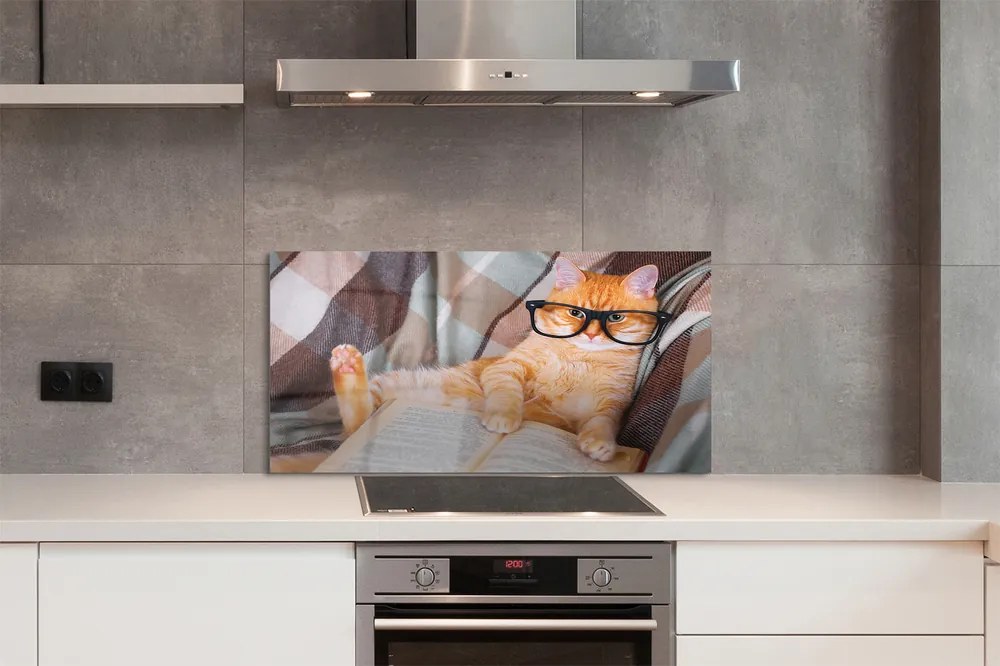 Panel Szklany Inteligentny Kot Bibliofil