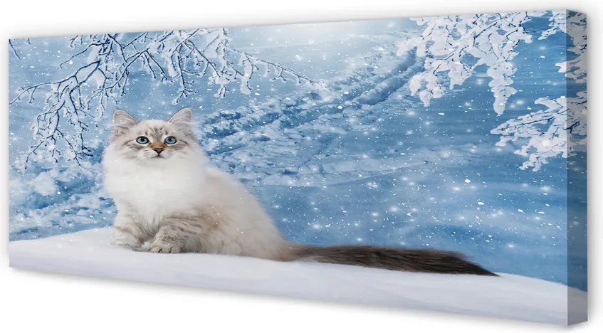 Obraz na płótnie Kot w Zimowej Scenerii