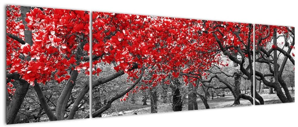 Obraz - Czerwone drzewa, Central Park, New York (170x50 cm)