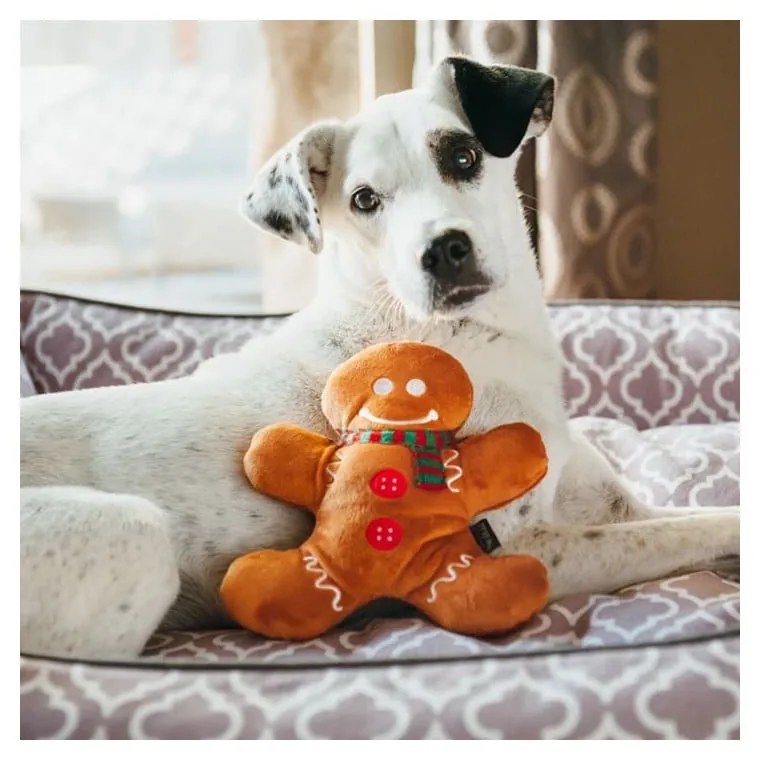 Zabawka dla psa Gingerbread Man – P.L.A.Y.