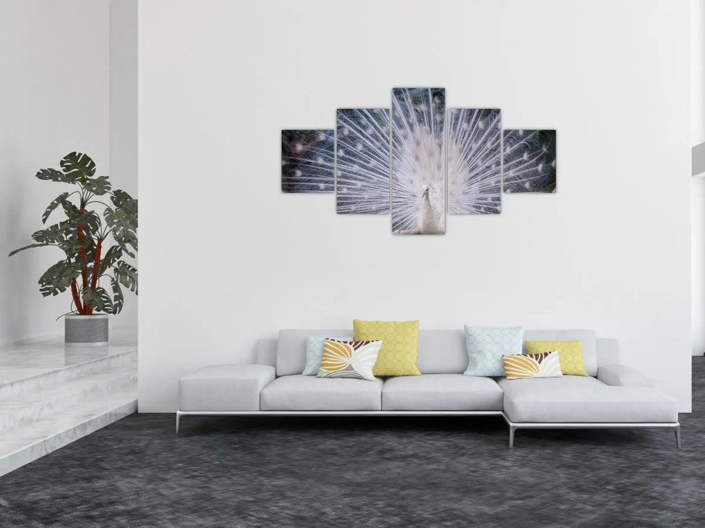 Obraz - Biały paw (125x70 cm)