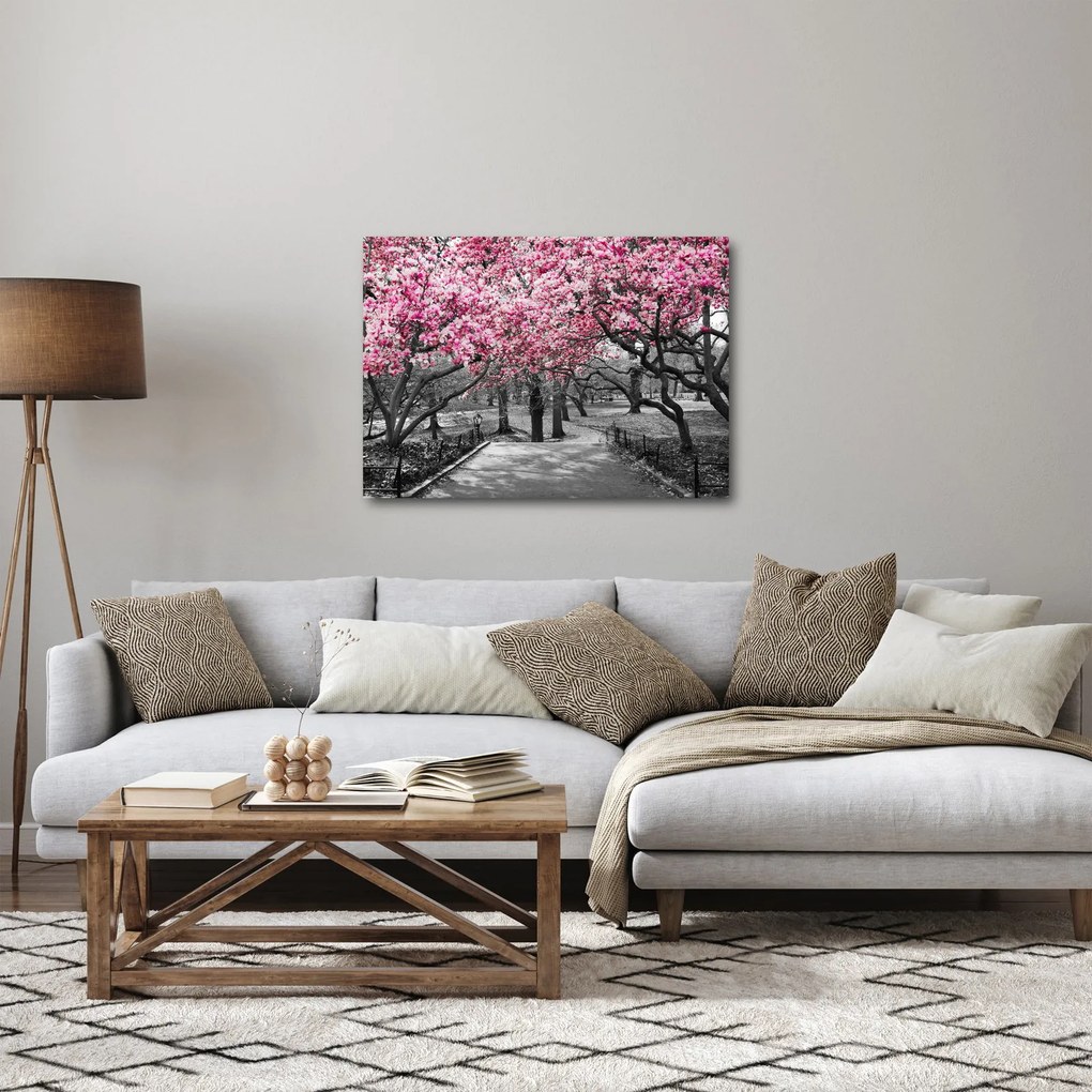 Obraz drzew magnolii (70x50 cm)