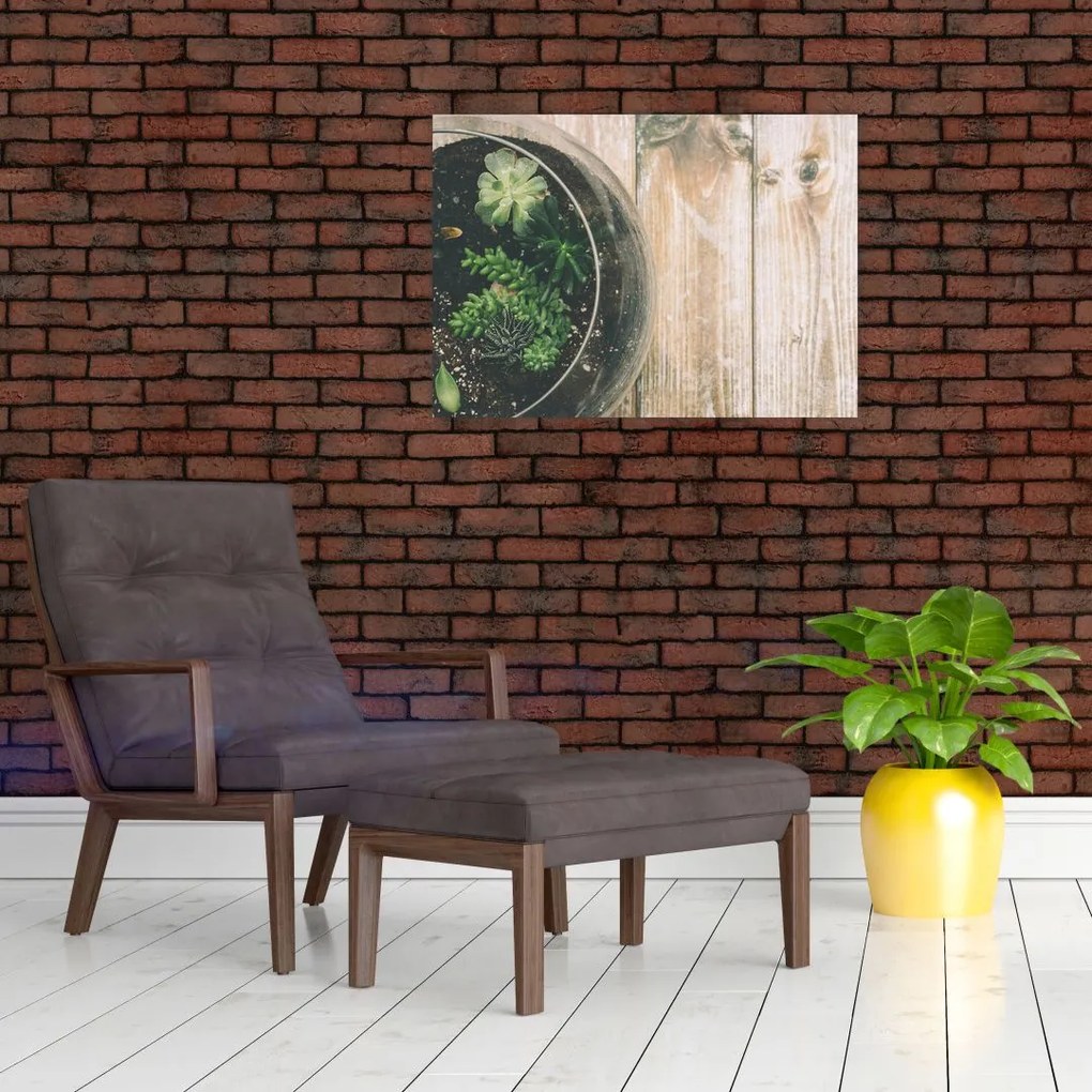 Obraz na szkle sukulentów w szkle (70x50 cm)
