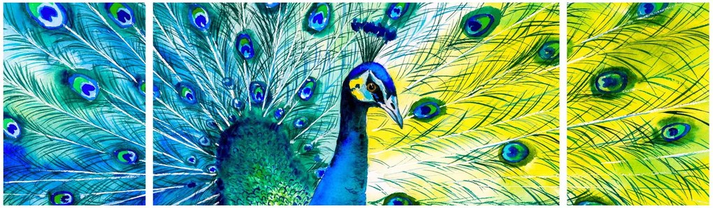 Obraz pawia (170x50 cm)