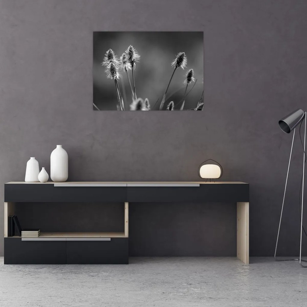 Obraz - Beżowa miękka trawa N⁰2 (70x50 cm)