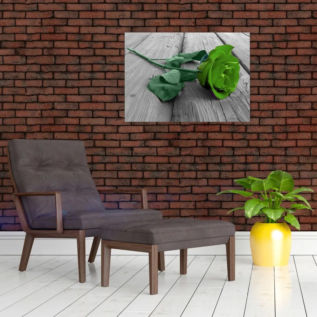 Obraz - Zielona róża (70x50 cm)