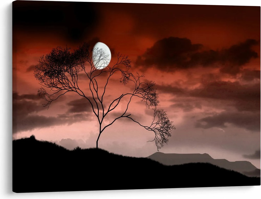 Obraz - Księżyc oświetlający noc (70x50 cm)