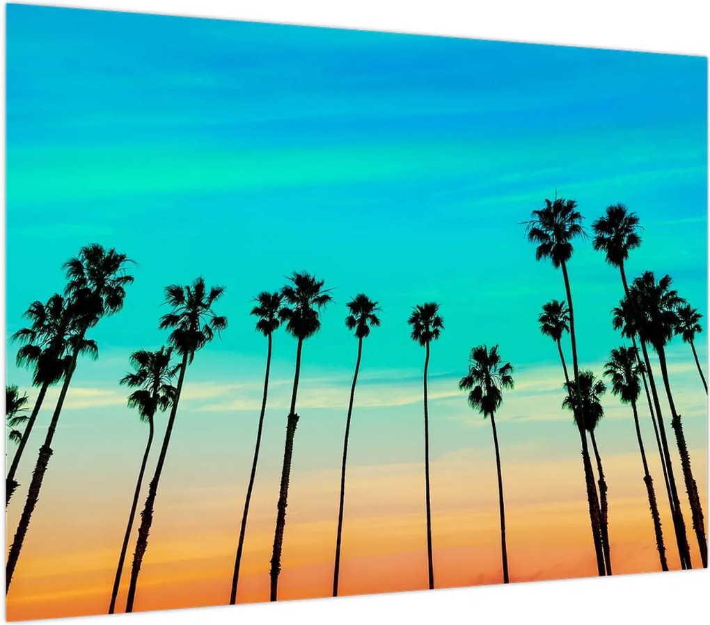 Obraz na szkle - Kalifornia (70x50 cm)