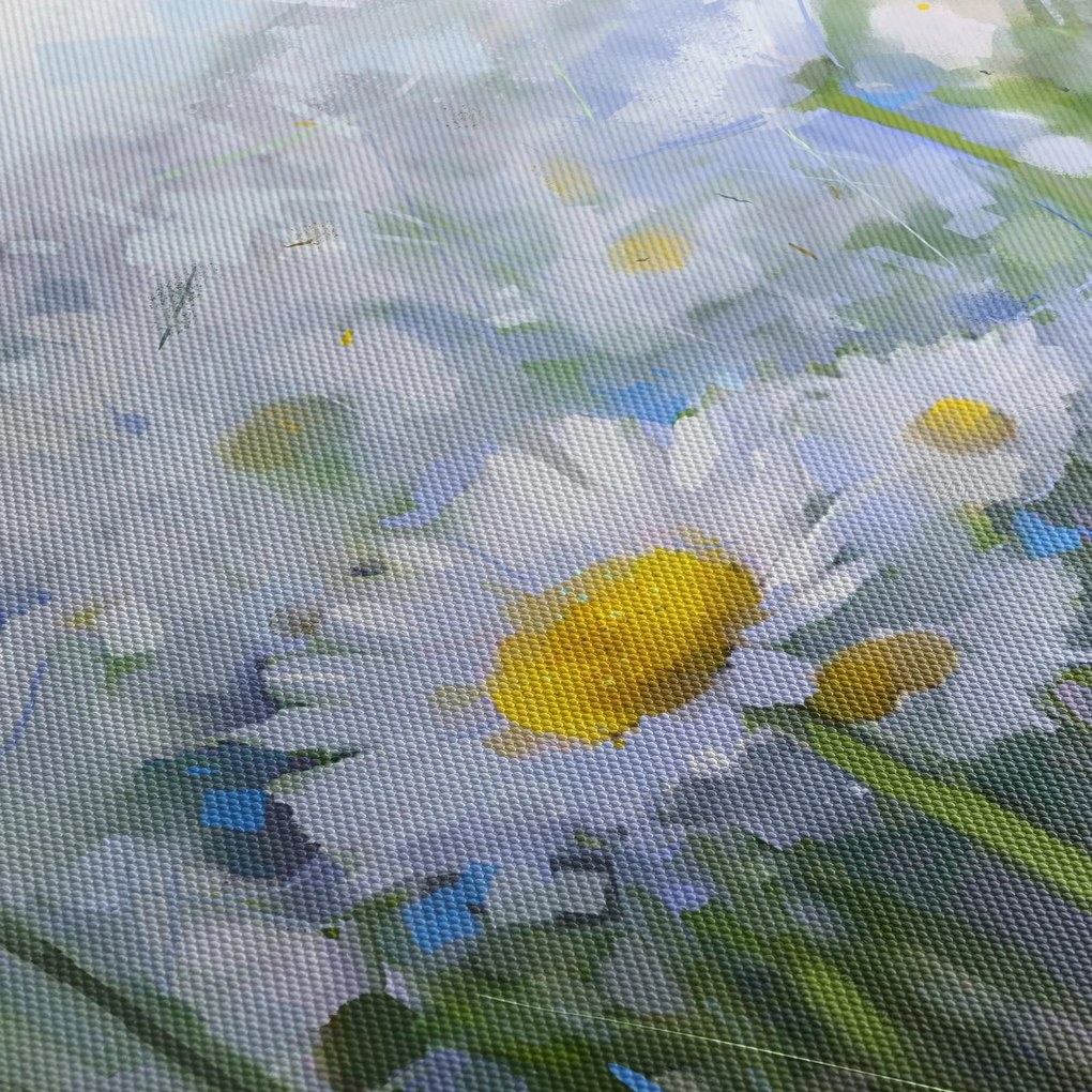 Obraz - W stokrotkach (70x50 cm)