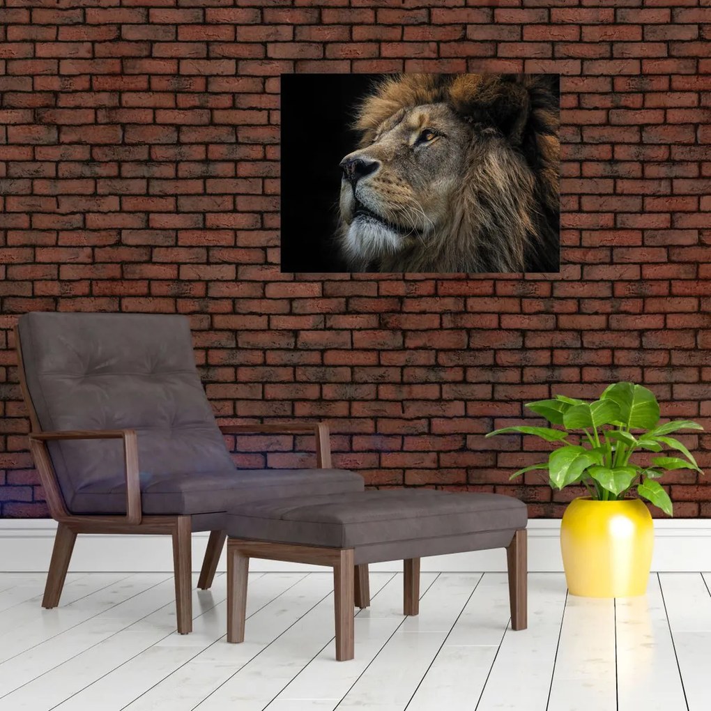 Obraz na szkle - Majestatyczny lew (70x50 cm)