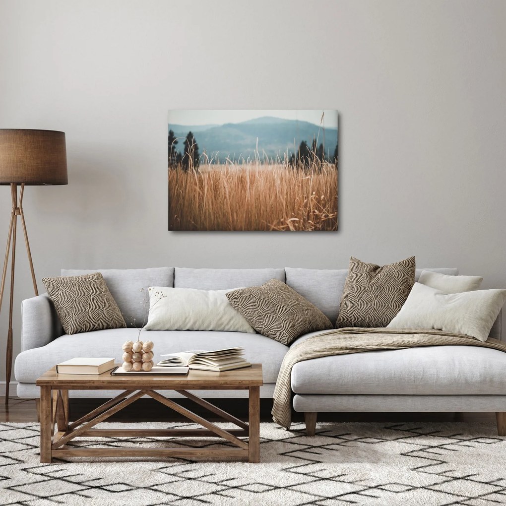 Obraz - szczegół łąki (70x50 cm)