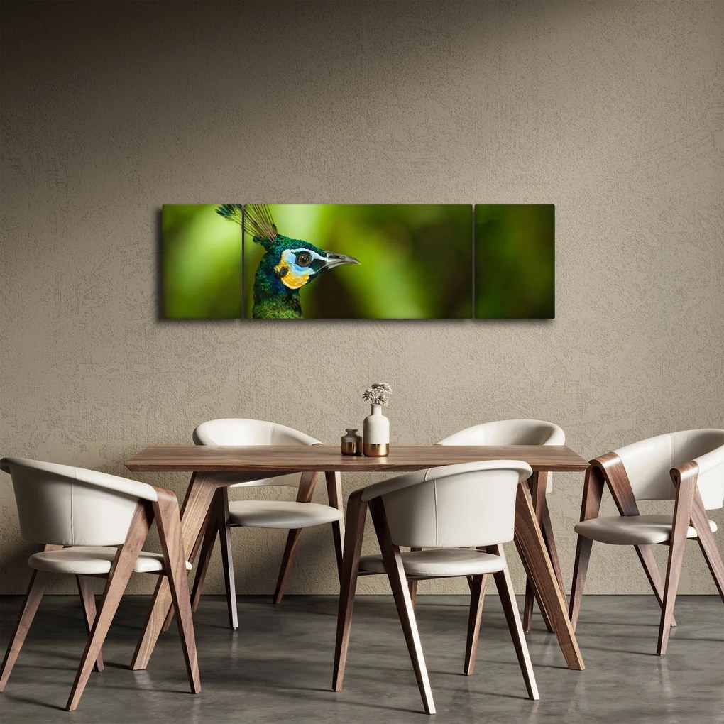 Obraz pawia (170x50 cm)