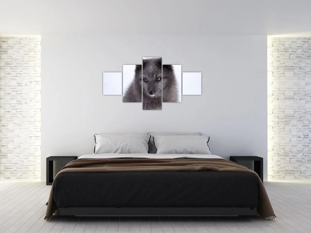 Obraz lisa śnieżnego (125x70 cm)