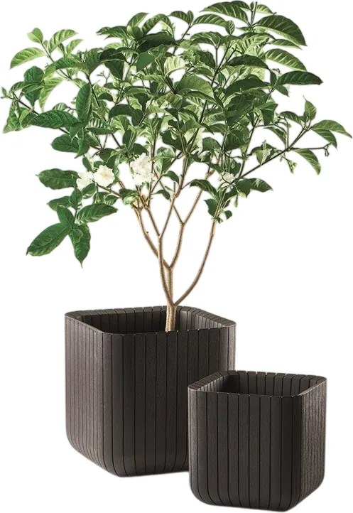Keter donica Cube M 50,5 l, brązowy