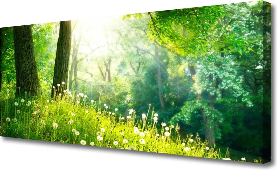 Duży obraz na płótnie Sielska Zielona Łąka