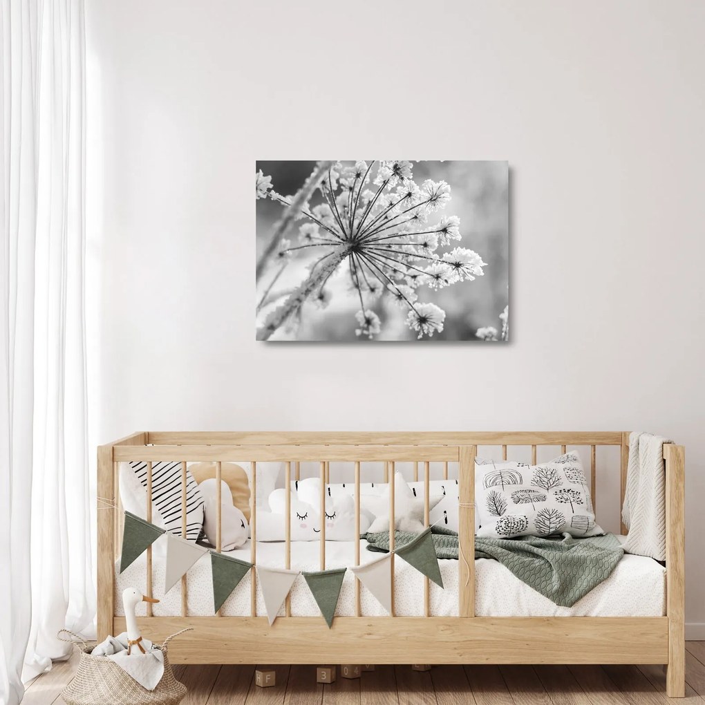 Obraz na szkle - Kwiat w zimie (70x50 cm)