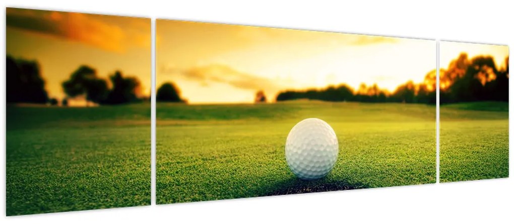 Obraz - Golf (170x50 cm)