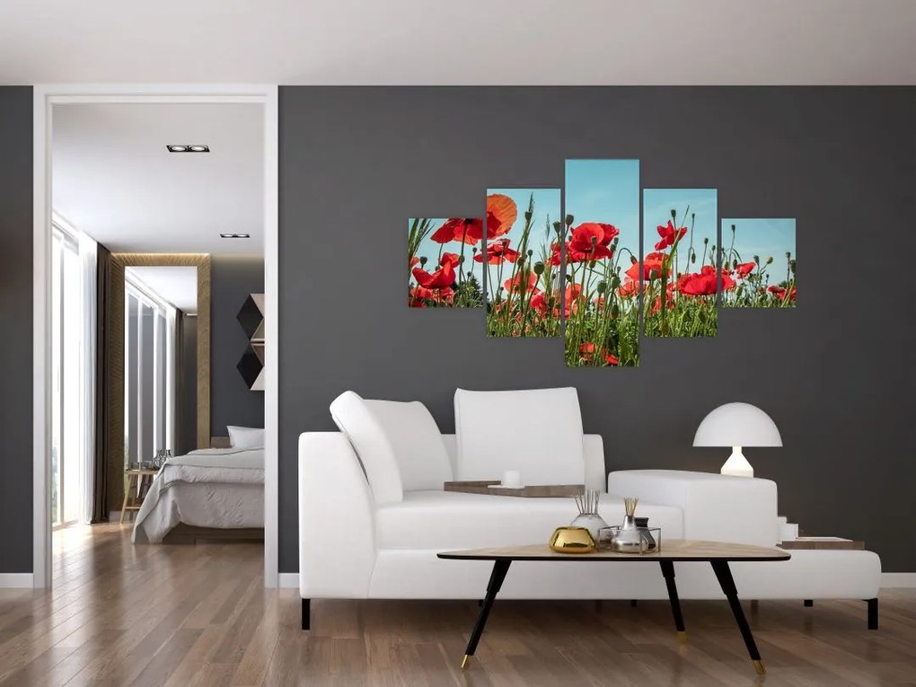 Obraz - Na polu maków (125x70 cm)