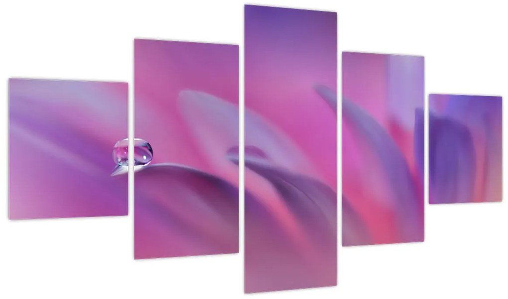 Obraz - Kropla na kwiecie (125x70 cm)