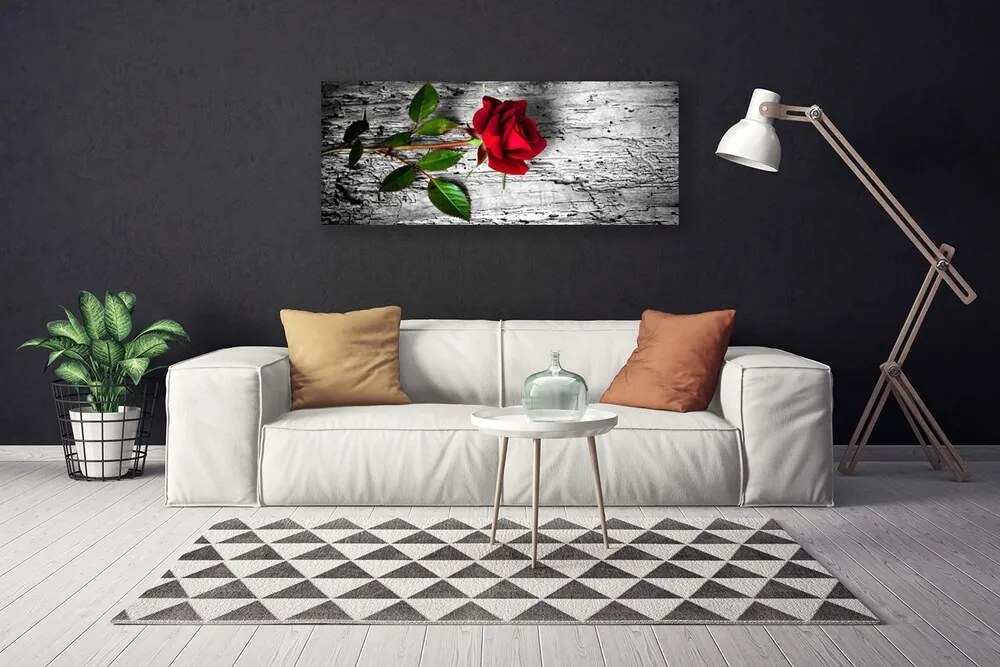Obraz Canvas Róża Kwiat Roślina Natura