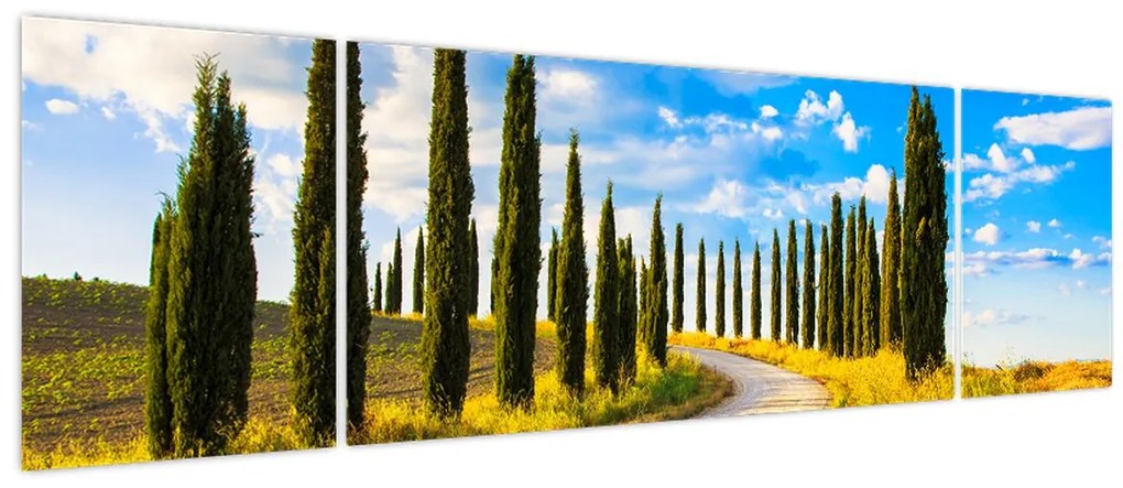 Obraz - Krajobraz (170x50 cm)