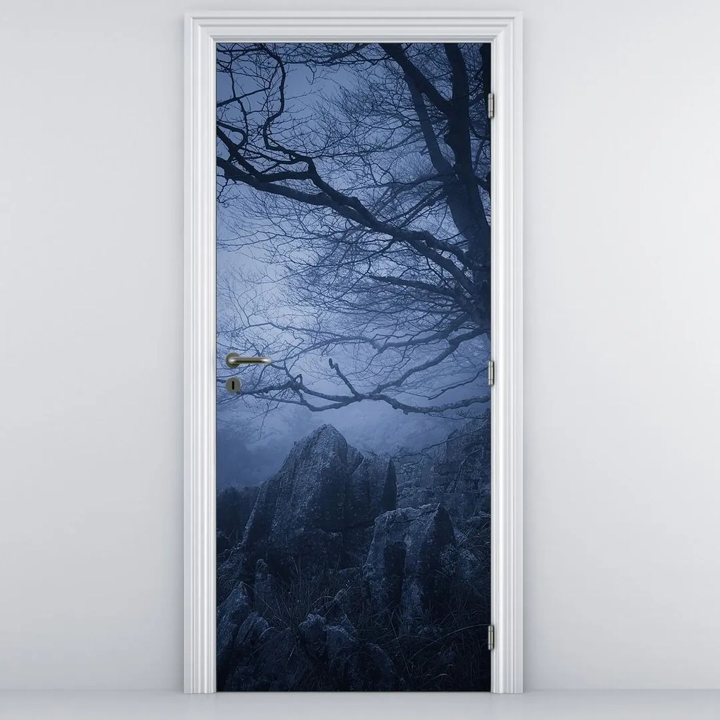 Fototapeta na drzwi - Ciemny las (95x205cm)