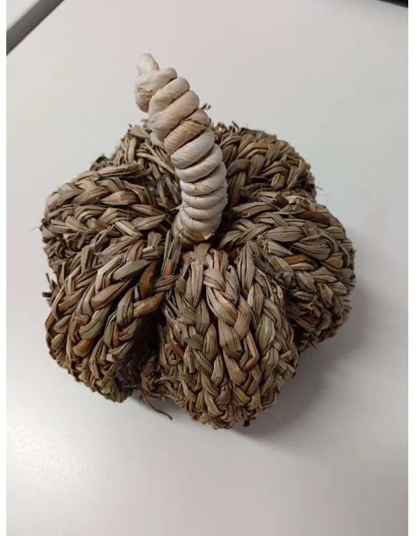 PROMOCJA Dekoracja dynia PUMPKIN COACH GRASS II. jakość