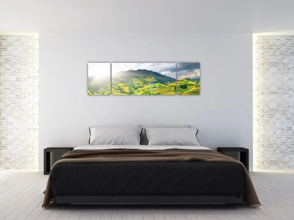 Obraz plantacji (170x50 cm)