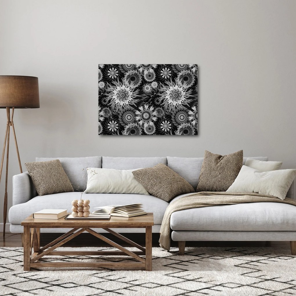 Obraz - Czarne i białe osty (70x50 cm)
