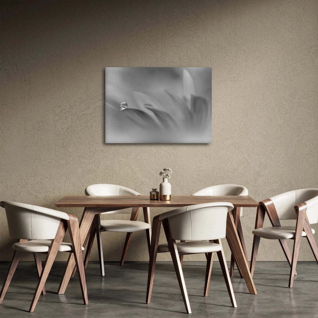 Obraz - Kropla na kwiecie, czarno - biały (70x50 cm)