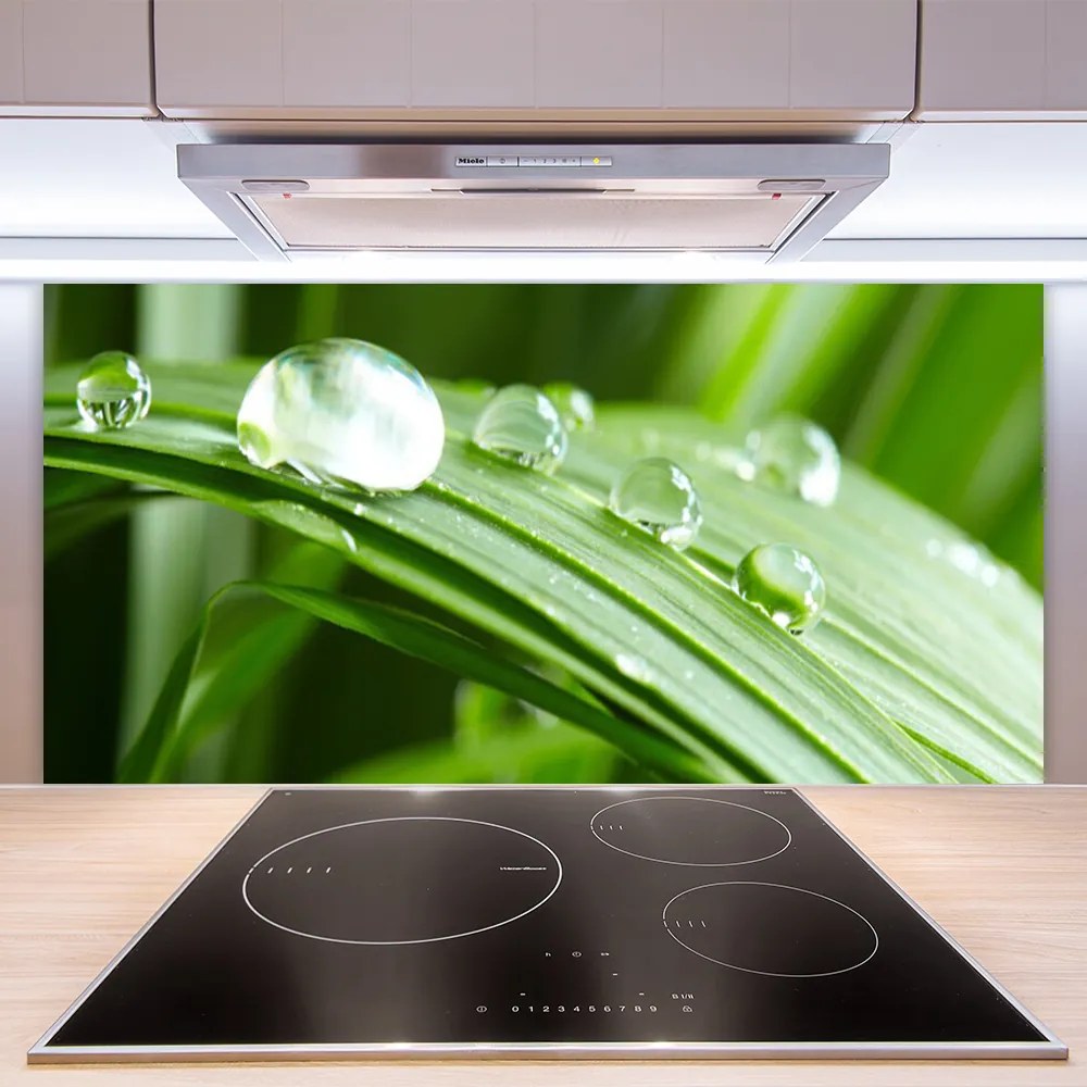 Szkło do Kuchni na Ścianę Kropla Rosy W Makrofotografii