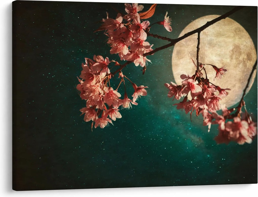 Obraz - Kwiat wiśni podczas pełni (70x50 cm)