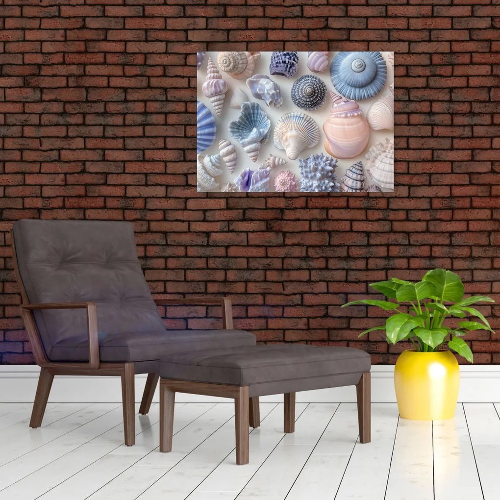 Obraz na szkle - Kolekcja muszli (70x50 cm)