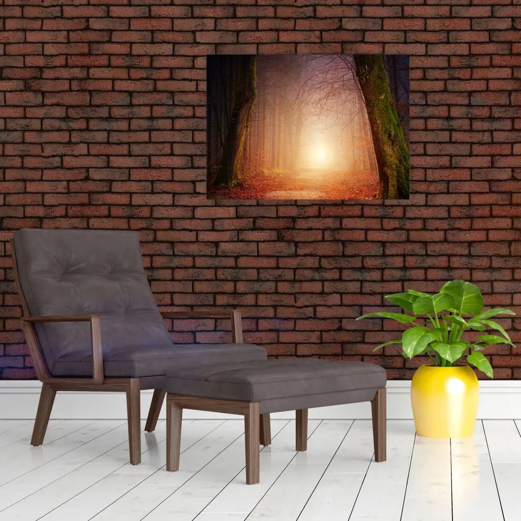 Obraz jesiennego lasu we mgle (70x50 cm)
