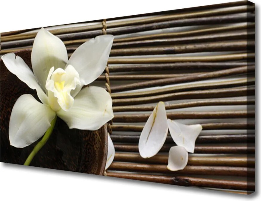 Obraz na płótnie Delikatny Pąk Kwiatu