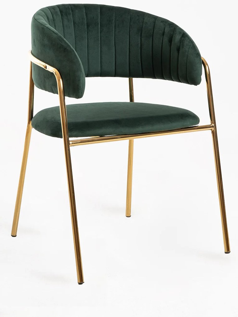 Krzeso Moniel Golden Velvet