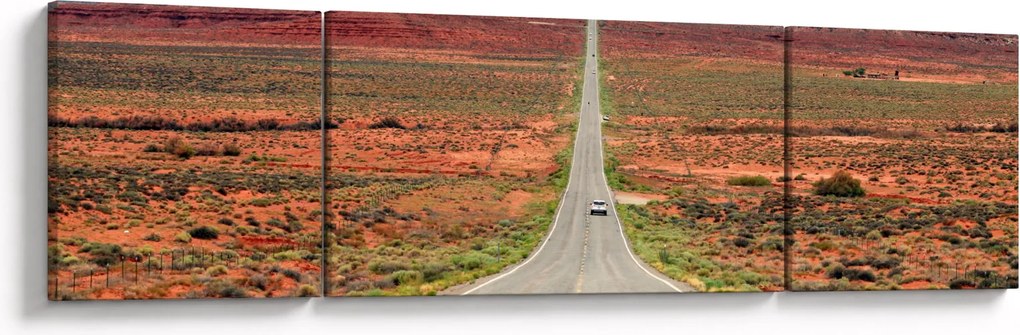 Obraz - U.S. Rote 163 (170x50 cm)