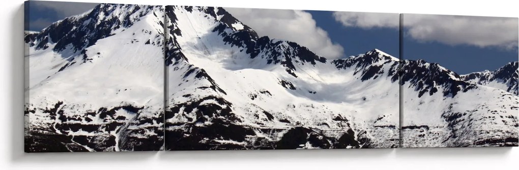 Obraz - Park Narodowy Kenai Fjords (170x50 cm)