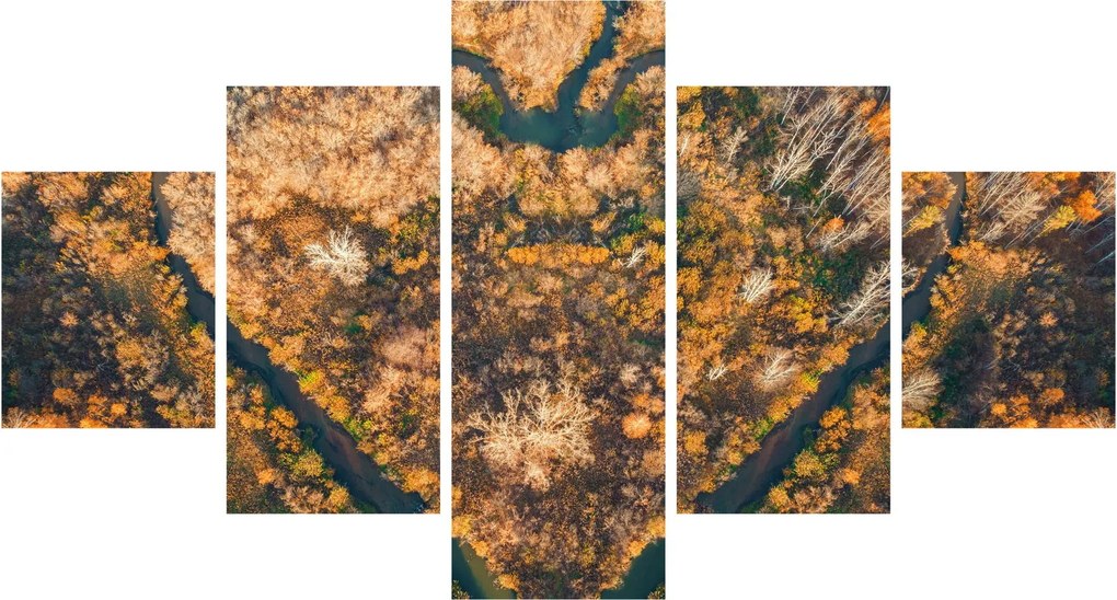Obraz - Rzeka w kształcie serca (125x70 cm)