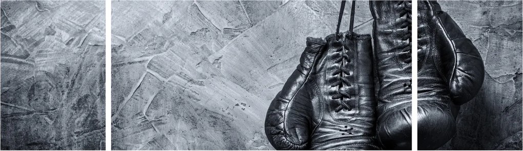 Obraz - Rękawice bokserskie (170x50 cm)