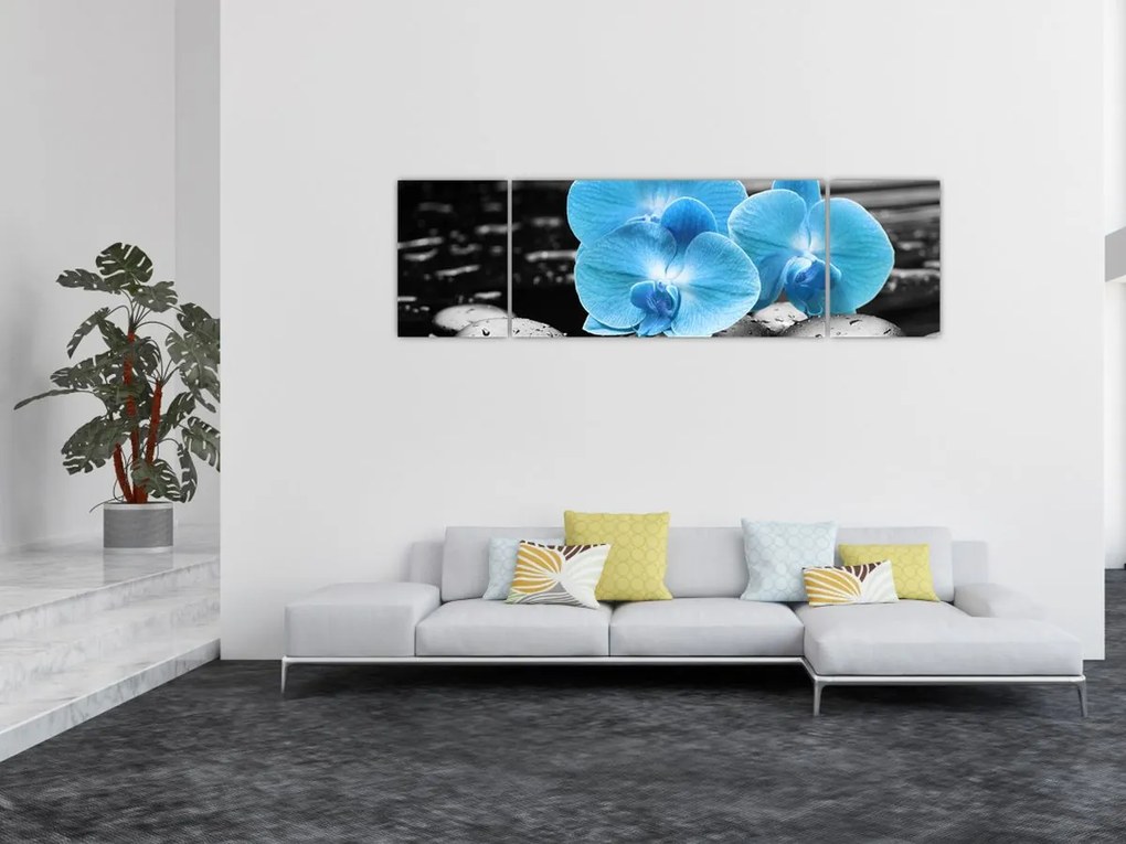 Obraz - Niebieska Orchidea (170x50 cm)