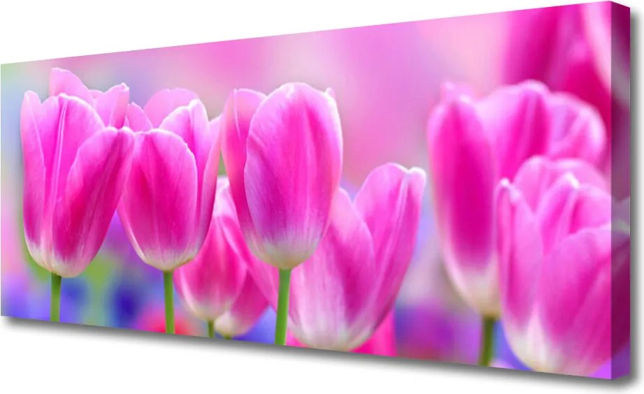 Zdjęcie na płótnie Wiosenne Tulipany w Rozkwicie
