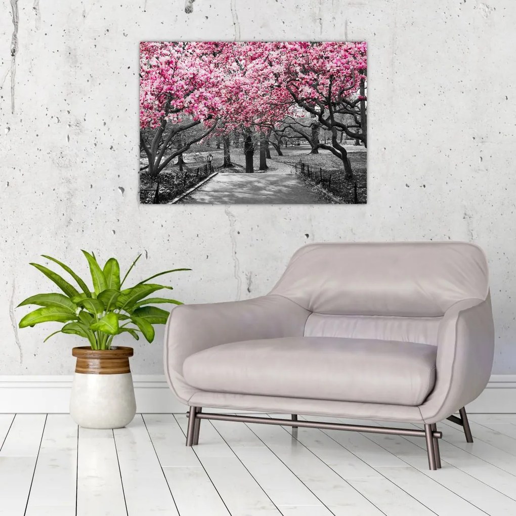 Obraz na szkle drzew magnolii (70x50 cm)