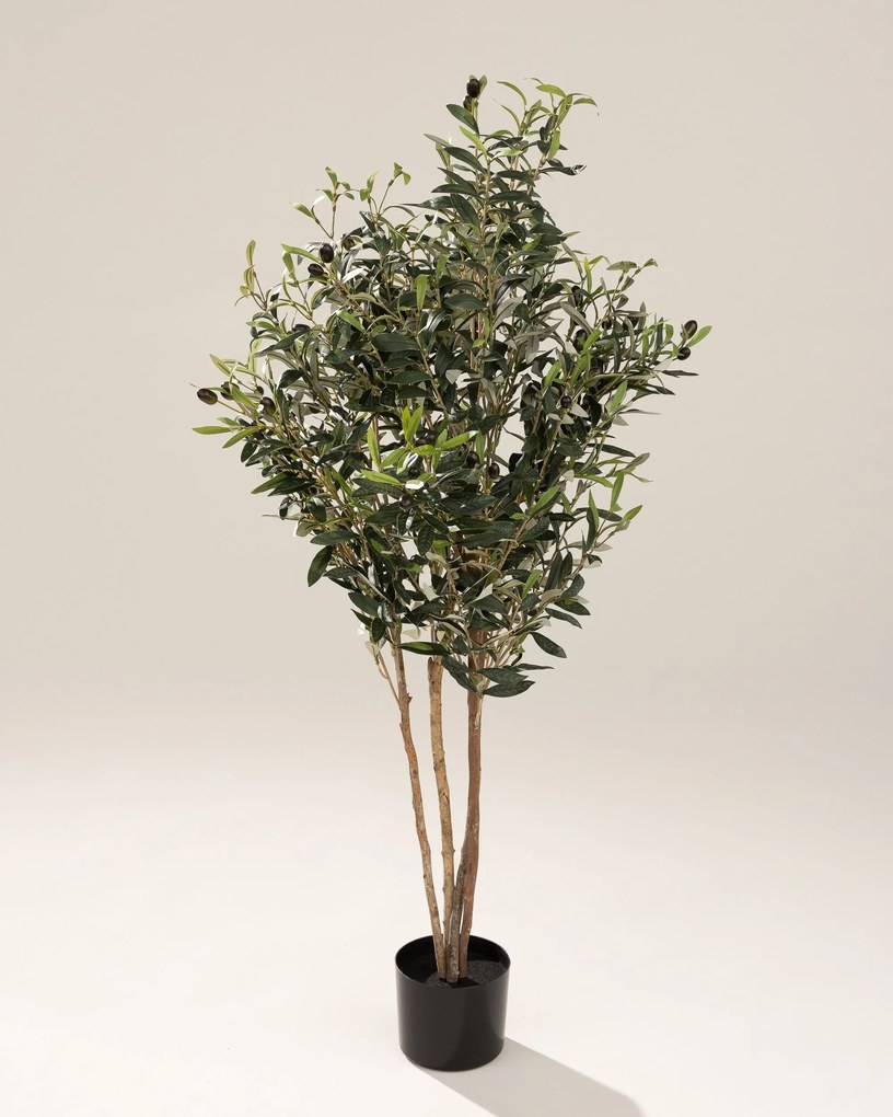 Drzewko oliwne w doniczce 130 cm