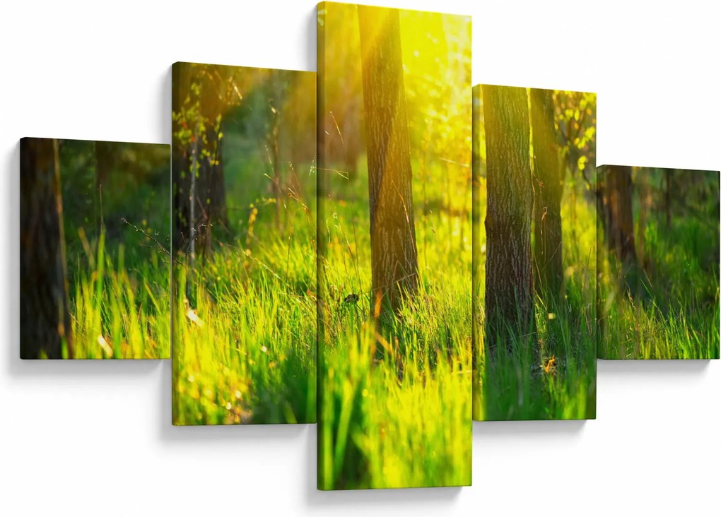 Obraz - Wiosenne przebudzenie lasu (125x70 cm)